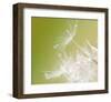 Green-null-Framed Art Print