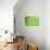 Green-Ursula Abresch-Stretched Canvas displayed on a wall