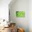 Green-Ursula Abresch-Premium Photographic Print displayed on a wall