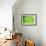 Green-Ursula Abresch-Framed Premium Photographic Print displayed on a wall