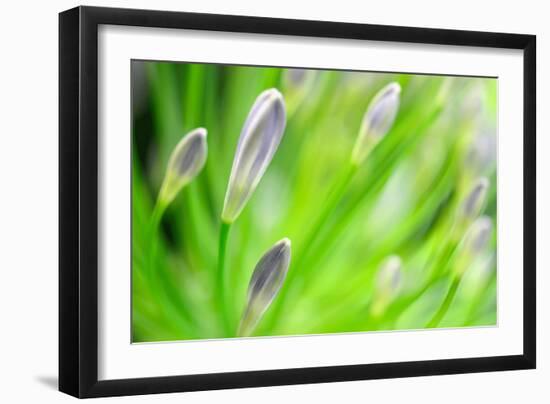 Green-Ursula Abresch-Framed Premium Photographic Print