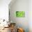Green-Ursula Abresch-Photographic Print displayed on a wall