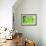 Green-Ursula Abresch-Framed Photographic Print displayed on a wall