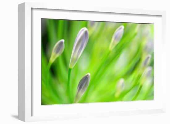 Green-Ursula Abresch-Framed Photographic Print