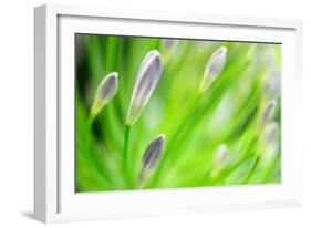 Green-Ursula Abresch-Framed Photographic Print