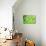 Green-Ursula Abresch-Mounted Photographic Print displayed on a wall