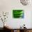 Green-Jeroen Van-Stretched Canvas displayed on a wall