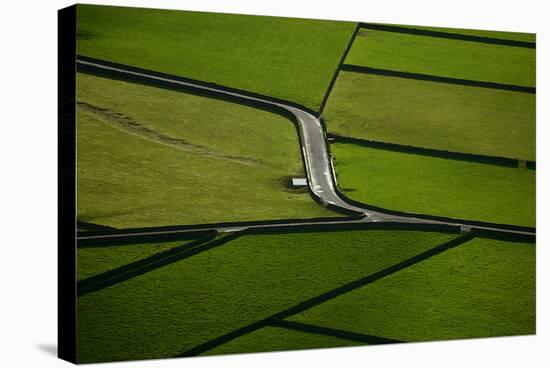 Green-Rui Caria-Stretched Canvas