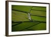 Green-Rui Caria-Framed Photographic Print