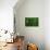 Green-Andre Burian-Giclee Print displayed on a wall