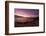 Greenback turtles (Chelonia mydas) on Baldwin Beach, Maui Island, Hawaii, USA-Christian Kober-Framed Photographic Print