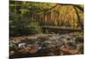 Greenbrier Bridge With Stream Watercolor-Galloimages Online-Mounted Photographic Print