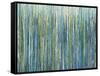 Greencicles-Liz Jardine-Framed Stretched Canvas