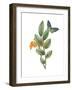 Greenery Butterflies I-Wild Apple Portfolio-Framed Art Print