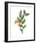 Greenery Butterflies I-Wild Apple Portfolio-Framed Art Print