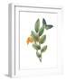 Greenery Butterflies I-Wild Apple Portfolio-Framed Art Print