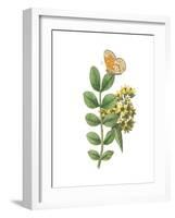 Greenery Butterflies II-Wild Apple Portfolio-Framed Art Print