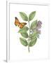 Greenery Butterflies III-Wild Apple Portfolio-Framed Premium Giclee Print