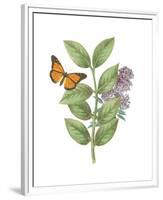 Greenery Butterflies III-Wild Apple Portfolio-Framed Premium Giclee Print