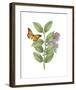 Greenery Butterflies III-Wild Apple Portfolio-Framed Art Print