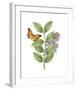 Greenery Butterflies III-Wild Apple Portfolio-Framed Art Print