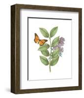 Greenery Butterflies III-Wild Apple Portfolio-Framed Art Print