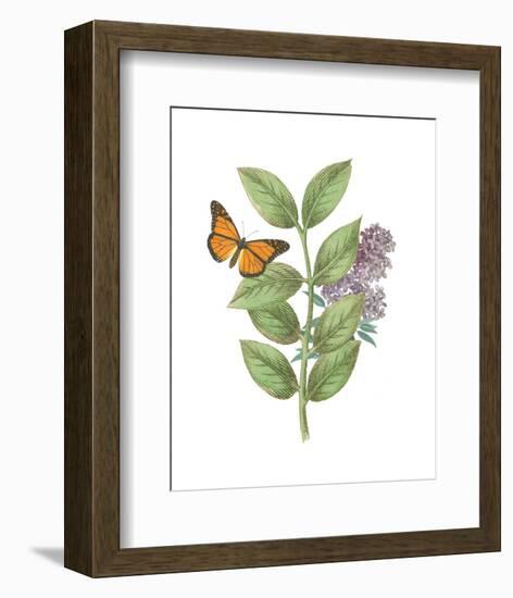 Greenery Butterflies III-Wild Apple Portfolio-Framed Art Print