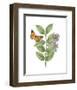 Greenery Butterflies III-Wild Apple Portfolio-Framed Art Print