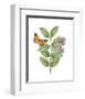 Greenery Butterflies III-Wild Apple Portfolio-Framed Art Print