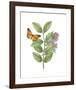 Greenery Butterflies III-Wild Apple Portfolio-Framed Art Print