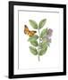 Greenery Butterflies III-Wild Apple Portfolio-Framed Art Print