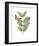 Greenery Butterflies III-Wild Apple Portfolio-Framed Art Print