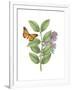 Greenery Butterflies III-Wild Apple Portfolio-Framed Art Print