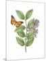 Greenery Butterflies III-Wild Apple Portfolio-Mounted Art Print