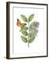 Greenery Butterflies III-Wild Apple Portfolio-Framed Art Print