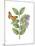 Greenery Butterflies III-Wild Apple Portfolio-Mounted Art Print