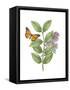 Greenery Butterflies III-Wild Apple Portfolio-Framed Stretched Canvas