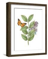 Greenery Butterflies III-Wild Apple Portfolio-Framed Art Print