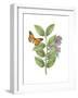 Greenery Butterflies III-Wild Apple Portfolio-Framed Art Print