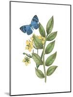Greenery Butterflies IV-Wild Apple Portfolio-Mounted Art Print