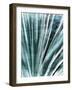 Greenery Essence I-Eva Bane-Framed Photographic Print