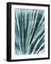 Greenery Essence I-Eva Bane-Framed Photographic Print