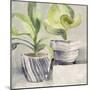 Greenery Still Life with Navy-Albena Hristova-Mounted Art Print