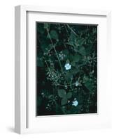 Greenery-Design Fabrikken-Framed Photographic Print