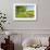 Greenest Pastures-Assaf Frank-Framed Art Print displayed on a wall