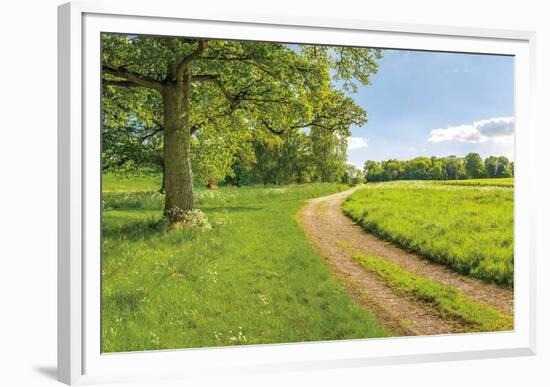 Greenest Pastures-Assaf Frank-Framed Art Print