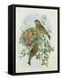 Greenfinch, 1873-John Gould-Framed Stretched Canvas