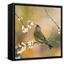 Greenfinch Perched in Blossom Tree-null-Framed Stretched Canvas