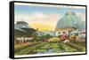 Greenhouse, Belle Isle, Detroit, Michigan-null-Framed Stretched Canvas