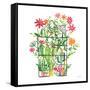 Greenhouse Blooming III-Farida Zaman-Framed Stretched Canvas